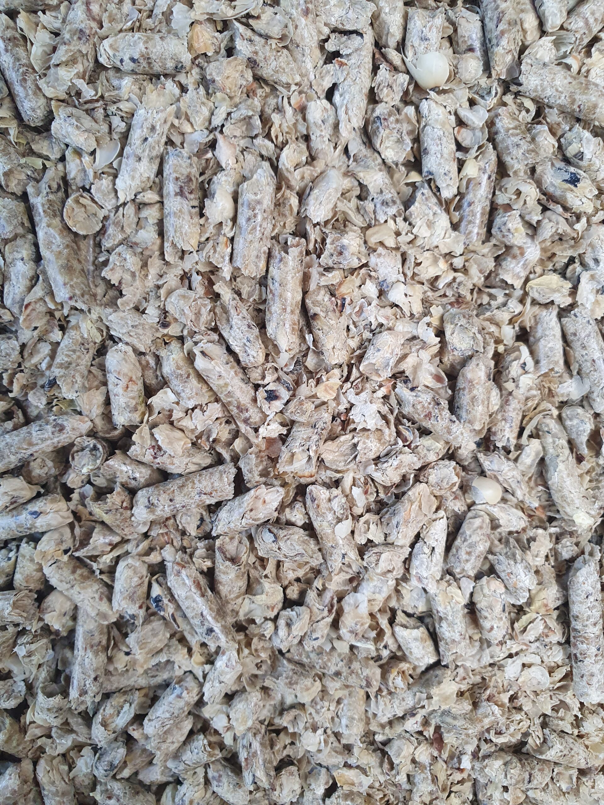 Peleti soia (soy pellets)
