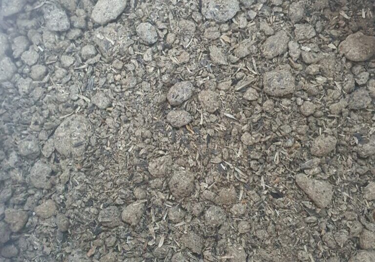 Srot floarea soarelui (sunflower meal picture)