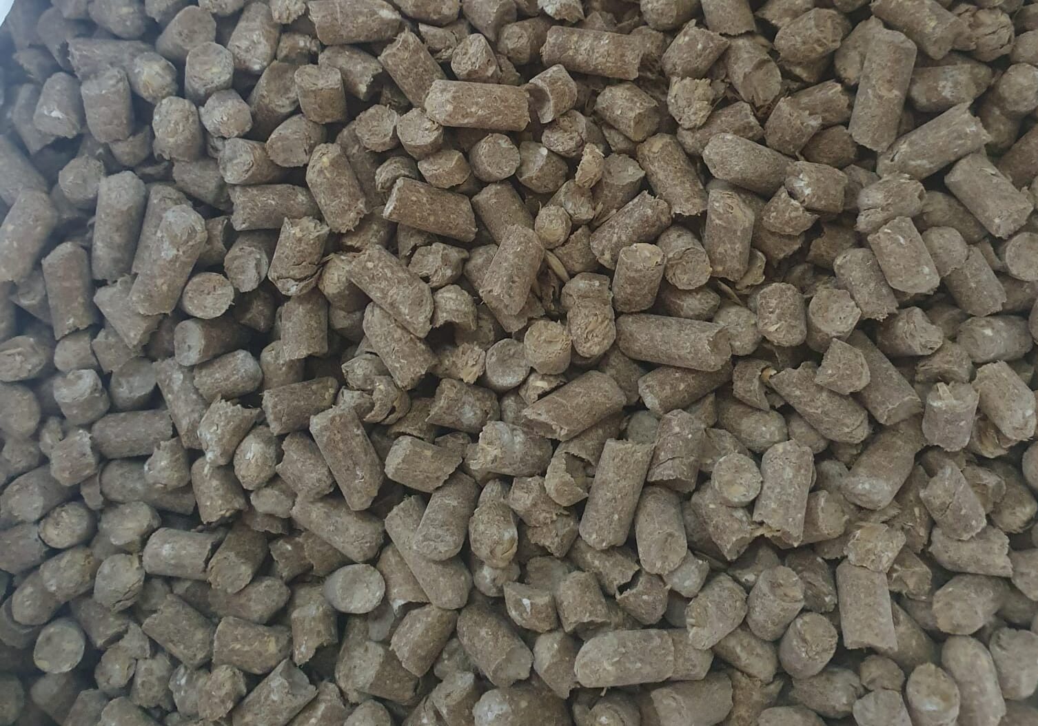 WhatsApp Image 2023-07-05 at 20.39.14