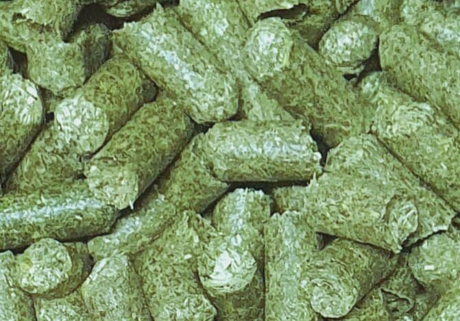 WhatsApp Image 2023-07-05 at 20.42.43